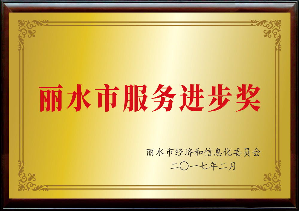 麗水市服務(wù)進步獎